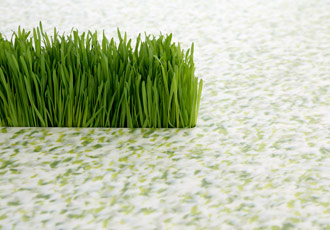 images/about/about/image_lowimpact.jpg