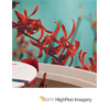 Highres Imagery Brochure