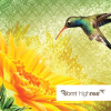 High Res Brochure