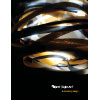 Light Art Brochure