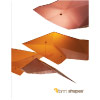 Shapes Brochure
