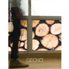 Studio Gecko Brochure