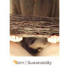 Sustainability Foldout Brochure