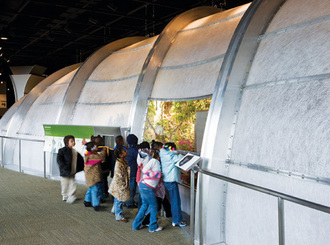 BUTTERFLY PAVILION