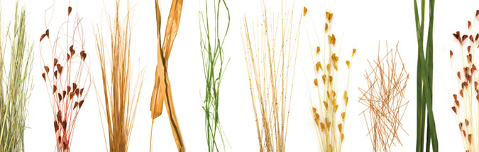 images/cms/images/elements1.jpg