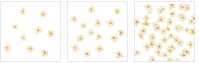 images/cms/images/elements2.jpg
