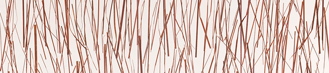images/cms/images/full_circle_electra.jpg