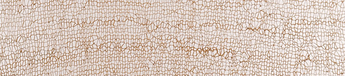 images/cms/images/full_circle_lattice.jpg