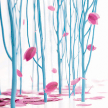 images/cms/little_images/enchanted_forest_collection.jpg