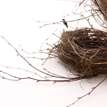 images/cms/little_images/nest_collection.jpg