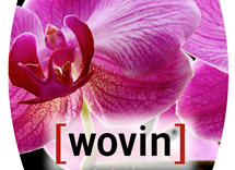 images/cms/little_images/othe_samp.jpg