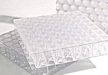 images/cms/little_images/pep_stage2.jpg