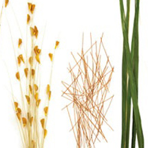 images/cms/little_images/pic_small.jpg