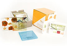 images/cms/little_images/pressed_glass_kit.jpg