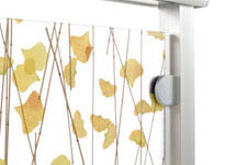 images/cms/little_images/ra_system1.jpg