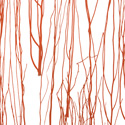 thicket fire