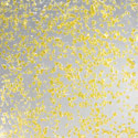 crush yellow