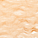 migration saffron