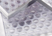 images/materials/struttura/pep_stage.jpg