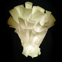Elements 85
