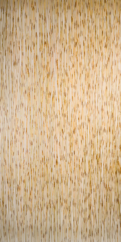 tiger thatch
