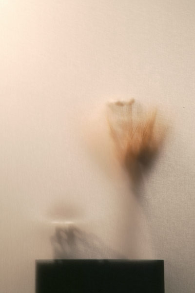 atmosphere stone 2