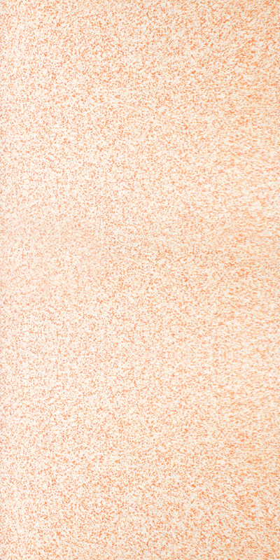 orange slice