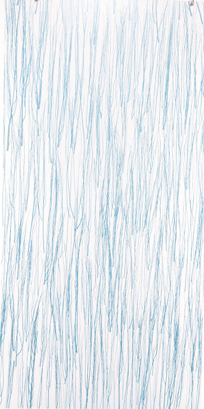 thicket ice