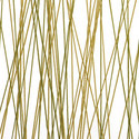 slant_kelp