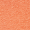 flock_carrot_pressed