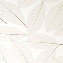 fossil_leaf_random_pressed