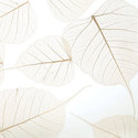 fossil_leaf_spade_random_pressed