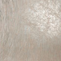ion_wheat_pressed