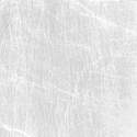 spider_pressed