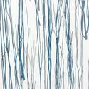 thicket_evening