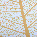 leaf_autumn_detail
