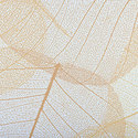 leaf_autumn_layered