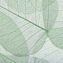 leaf_spring_layered