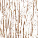 rice_grass