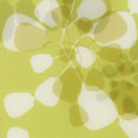 bloom_lime
