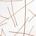 criss_cross