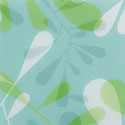 bloom_aqua