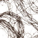 sonoma_nest
