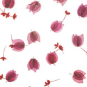 spring_fever