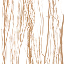 thicket_natural
