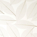 fossil_leaf_random