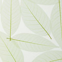 fossil leaf rand 392 U | 3form