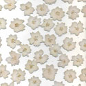antique fleur pressed