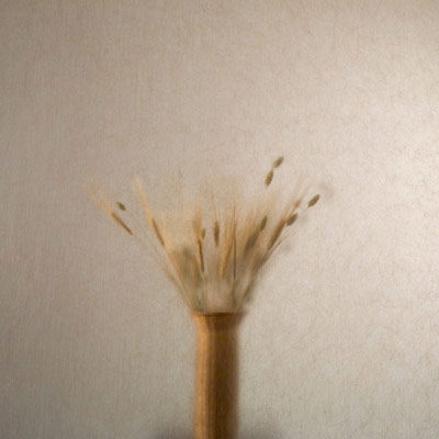 110_3.jpg