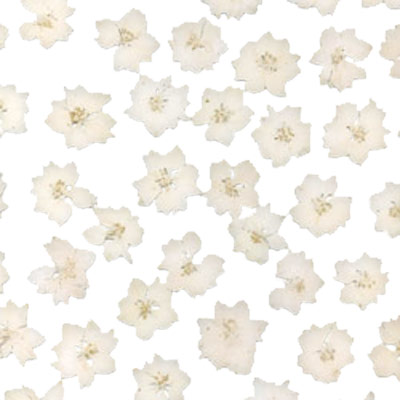 antique fleur